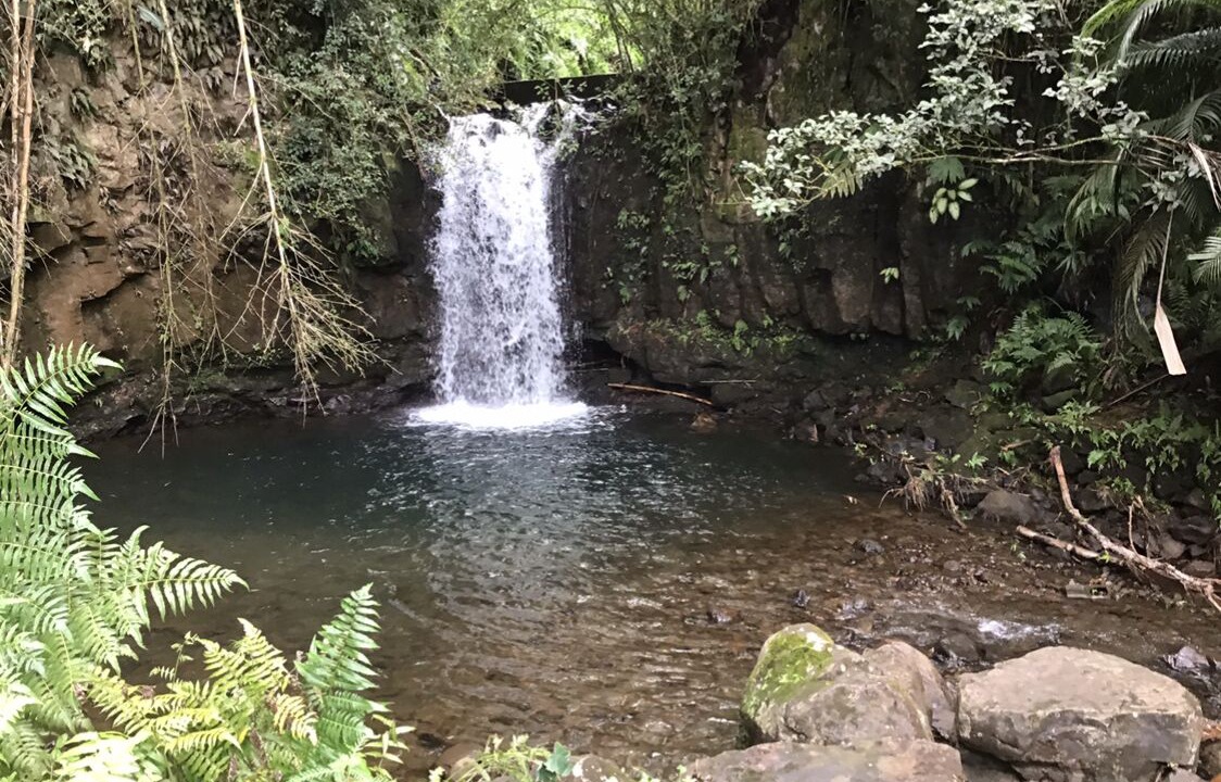 Photo of Outdoor in Papaikou