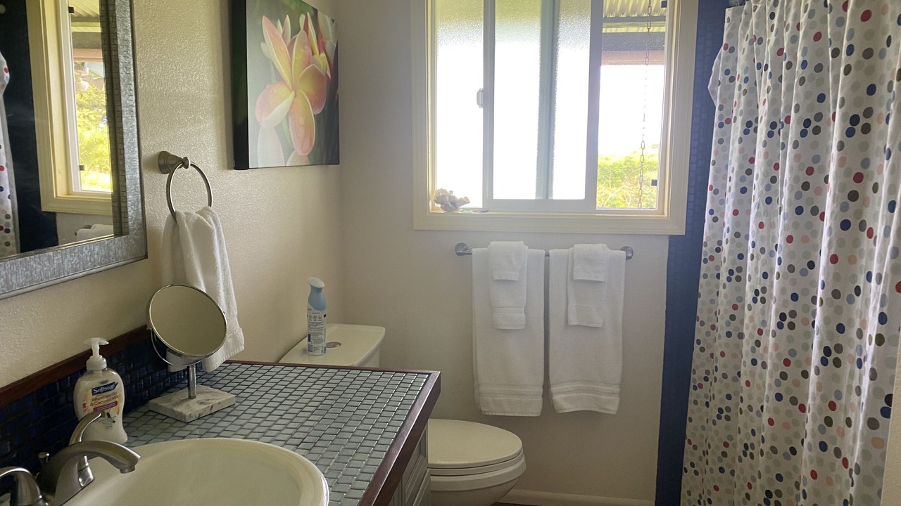 Photo of Bathroom in Papaikou