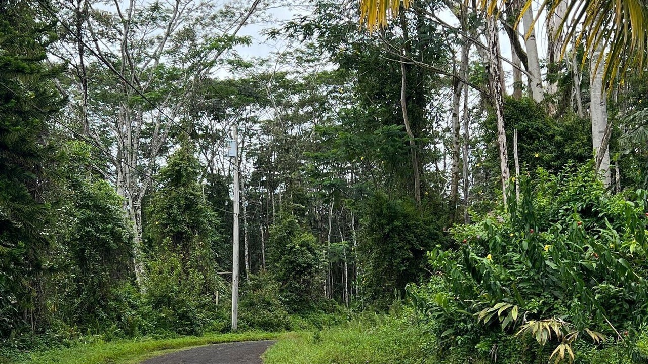 Photo of Outdoor in Nanawale Estates