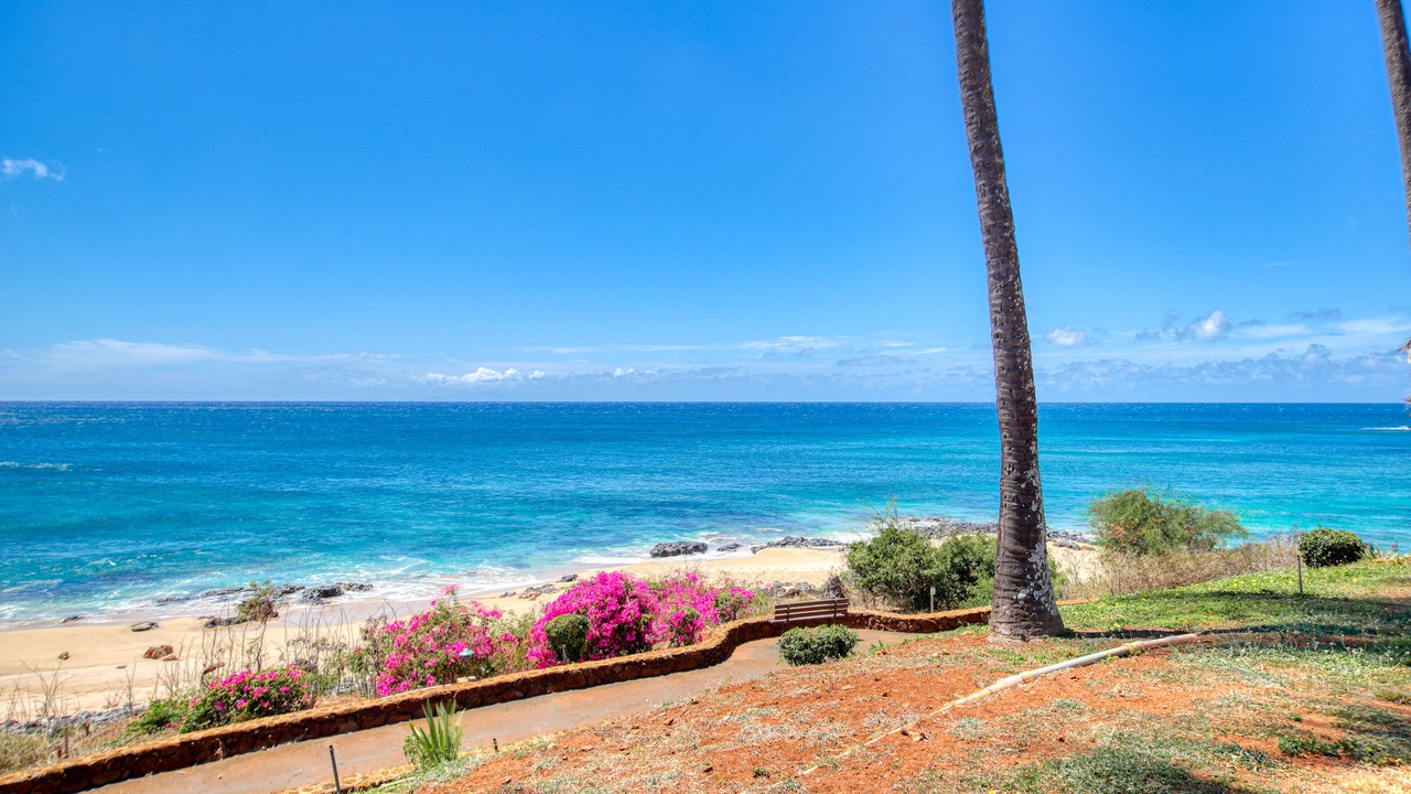 Photo of Others in Maunaloa