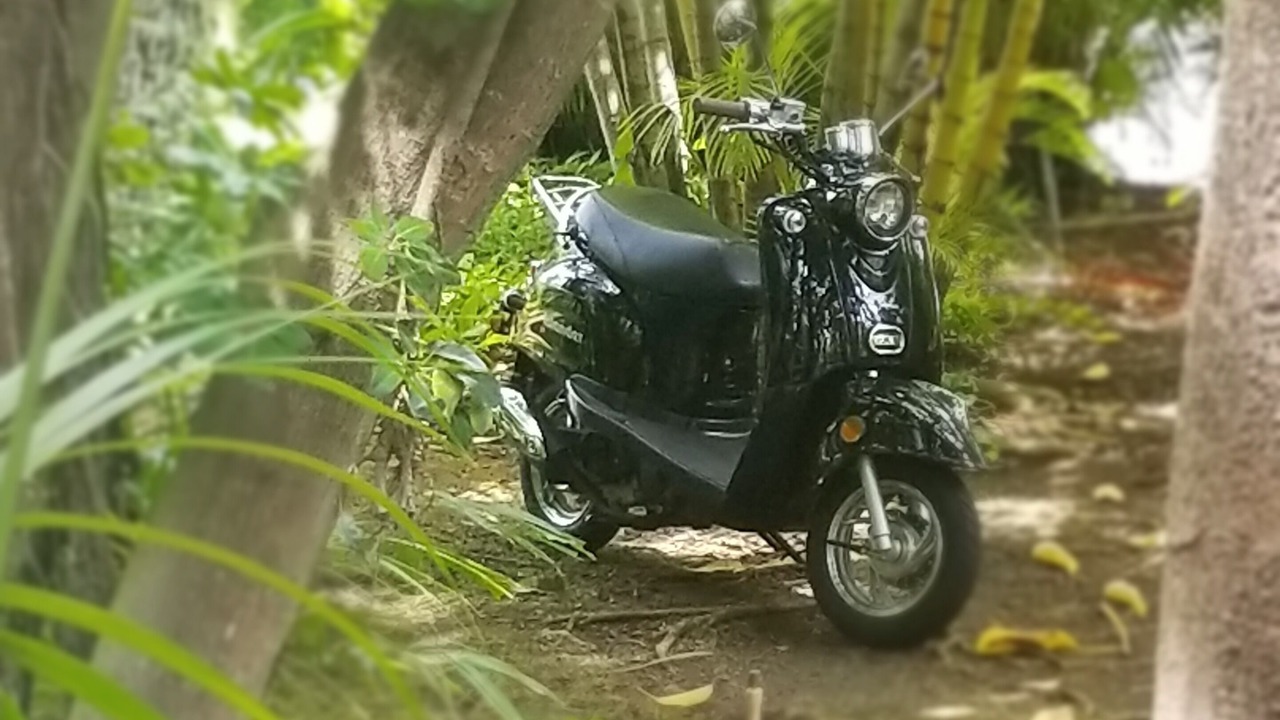 Photo of Others in Waialae Iki