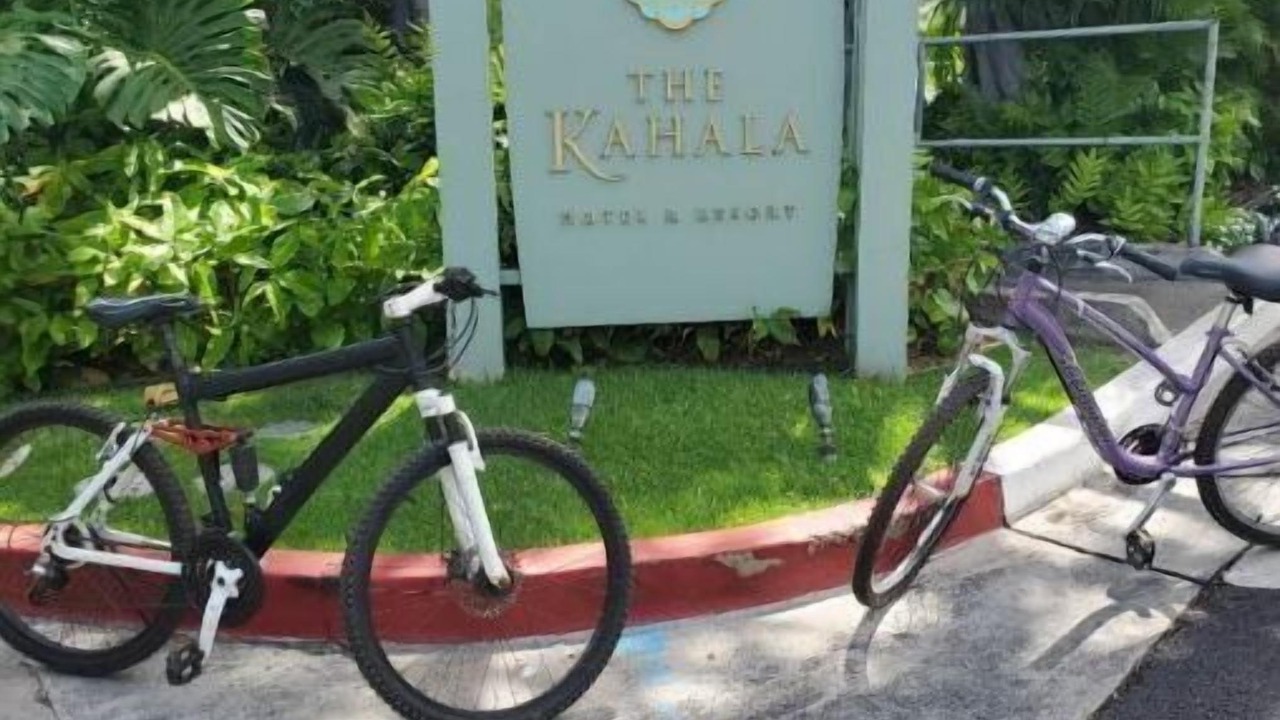 Photo of Others in Waialae Iki