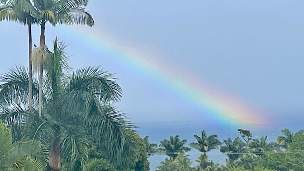 Photo of Others in Hakalau