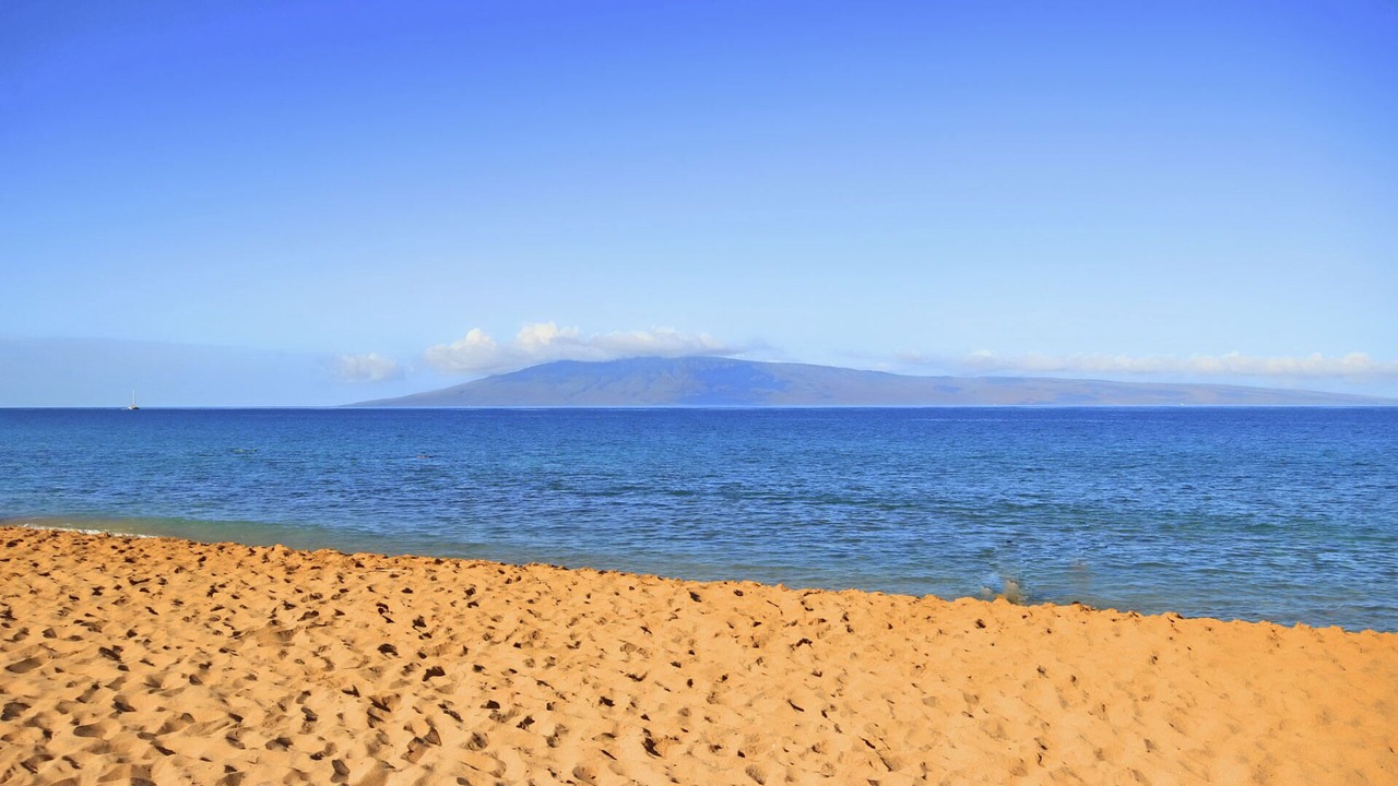 Photo of Others in Kaanapali