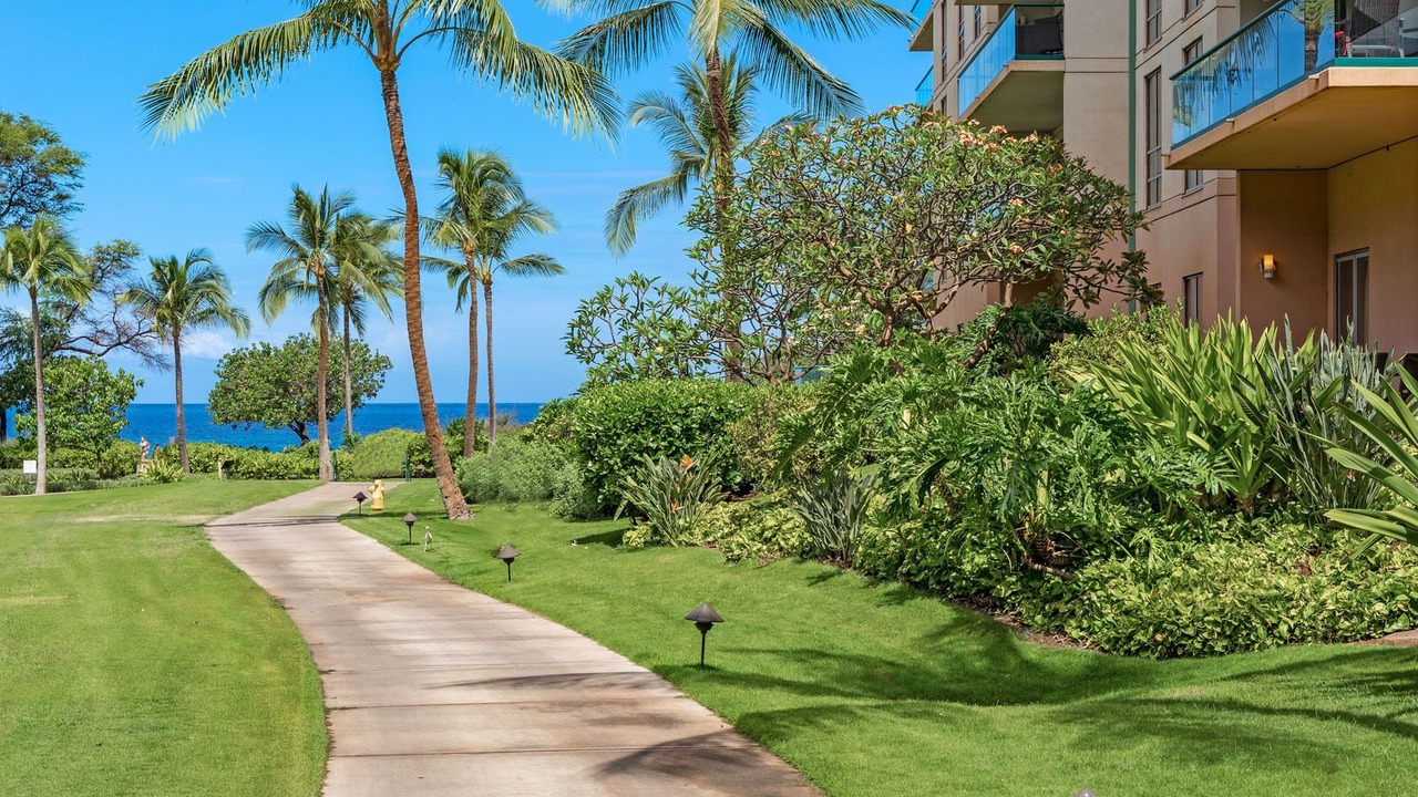 Photo of Others in Kaanapali