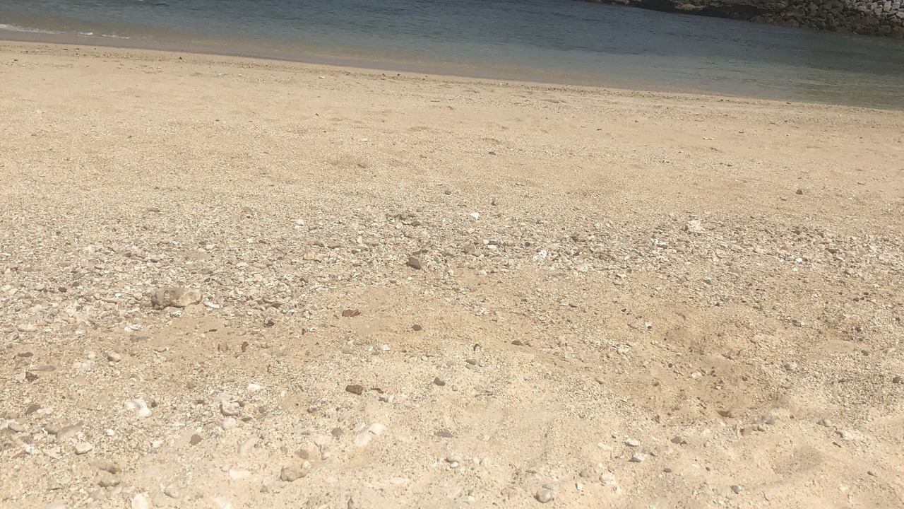 Photo of Others in Makaha