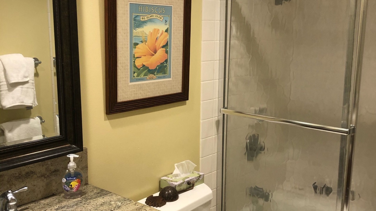 Photo of Bathroom in Honokowai