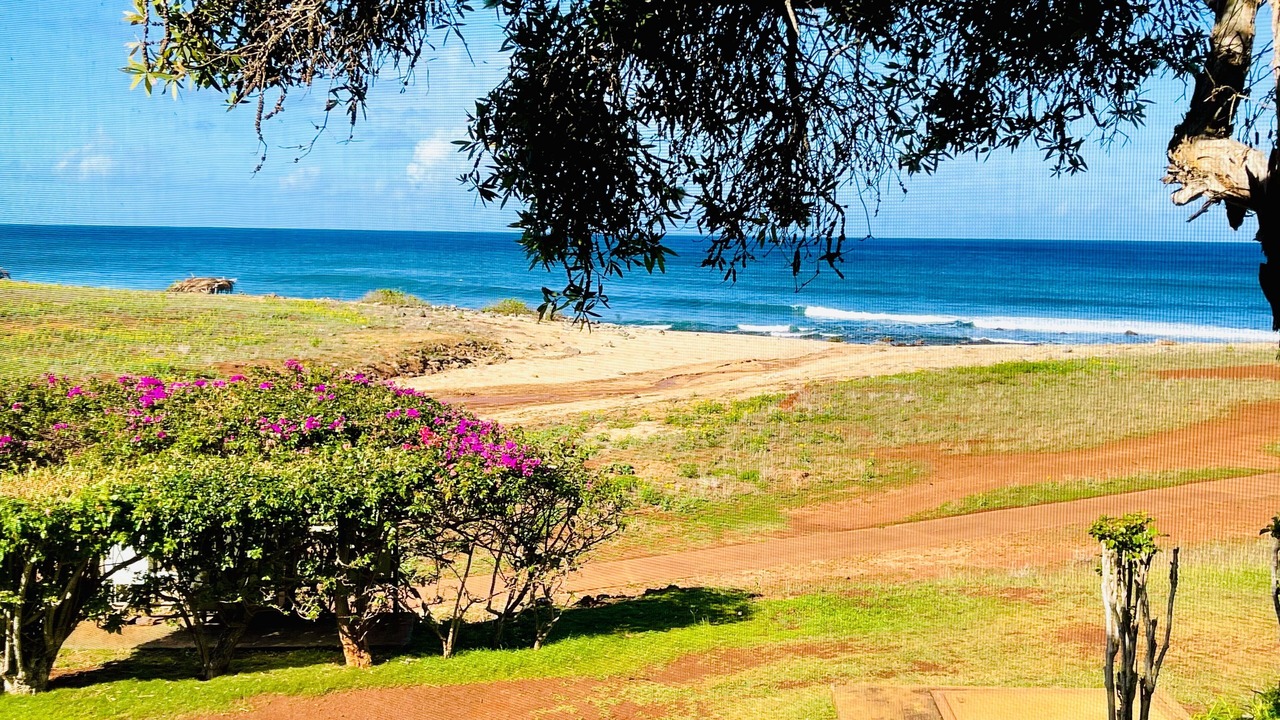 Photo of Others in Maunaloa