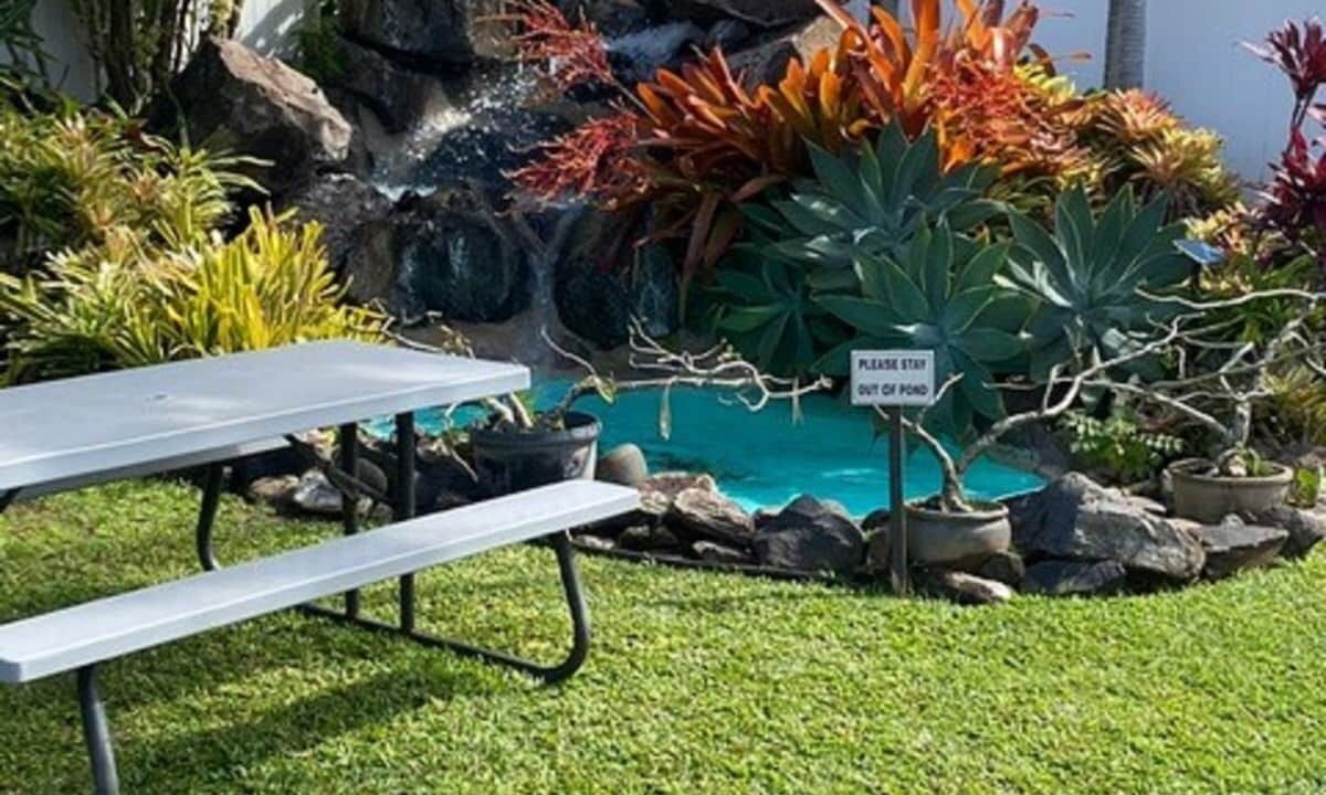 Photo of Others in Napili