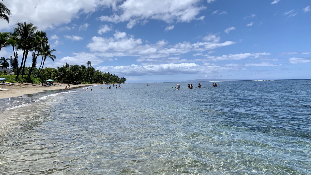 Photo of Others in Historic Lahaina Front Street