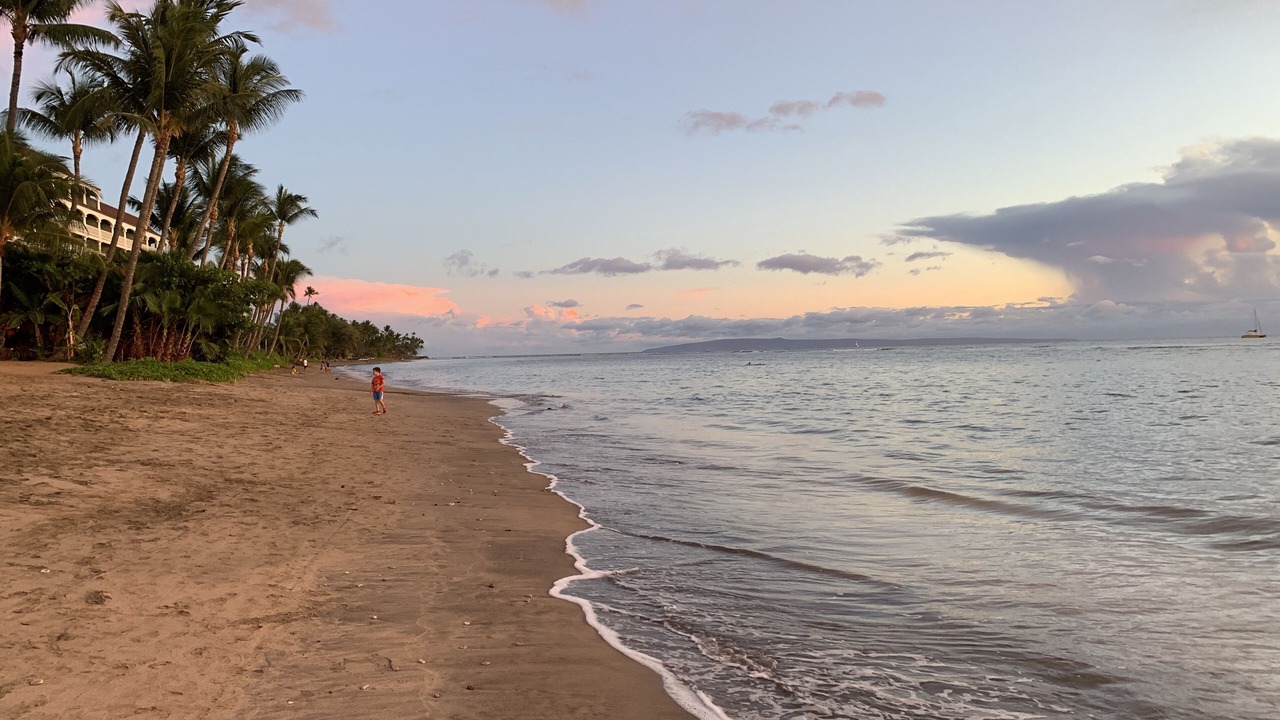 Photo of Others in Historic Lahaina Front Street
