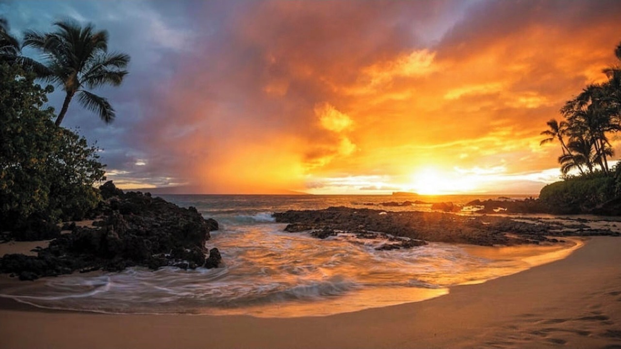 Photo of Others in Wailea