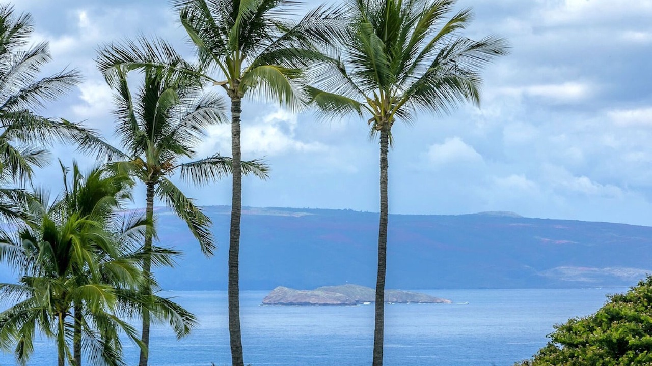 Photo of Others in Wailea