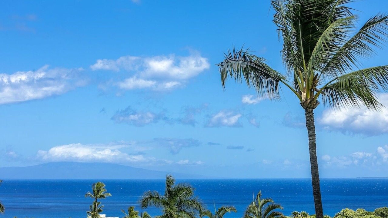 Photo of Others in Wailea