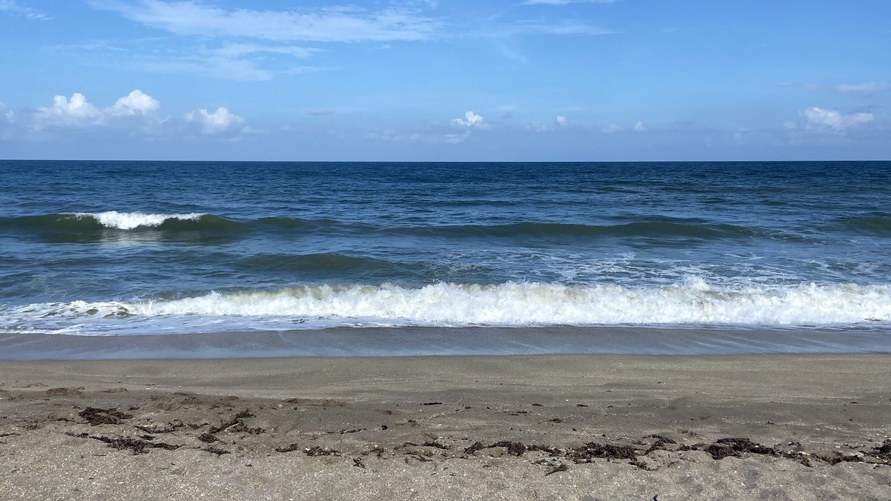 Photo of Others in Stuart