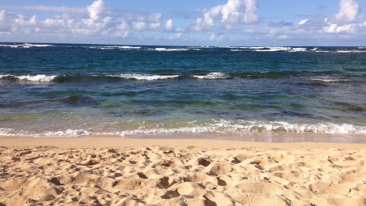 Photo of Others in Hawaii Kai