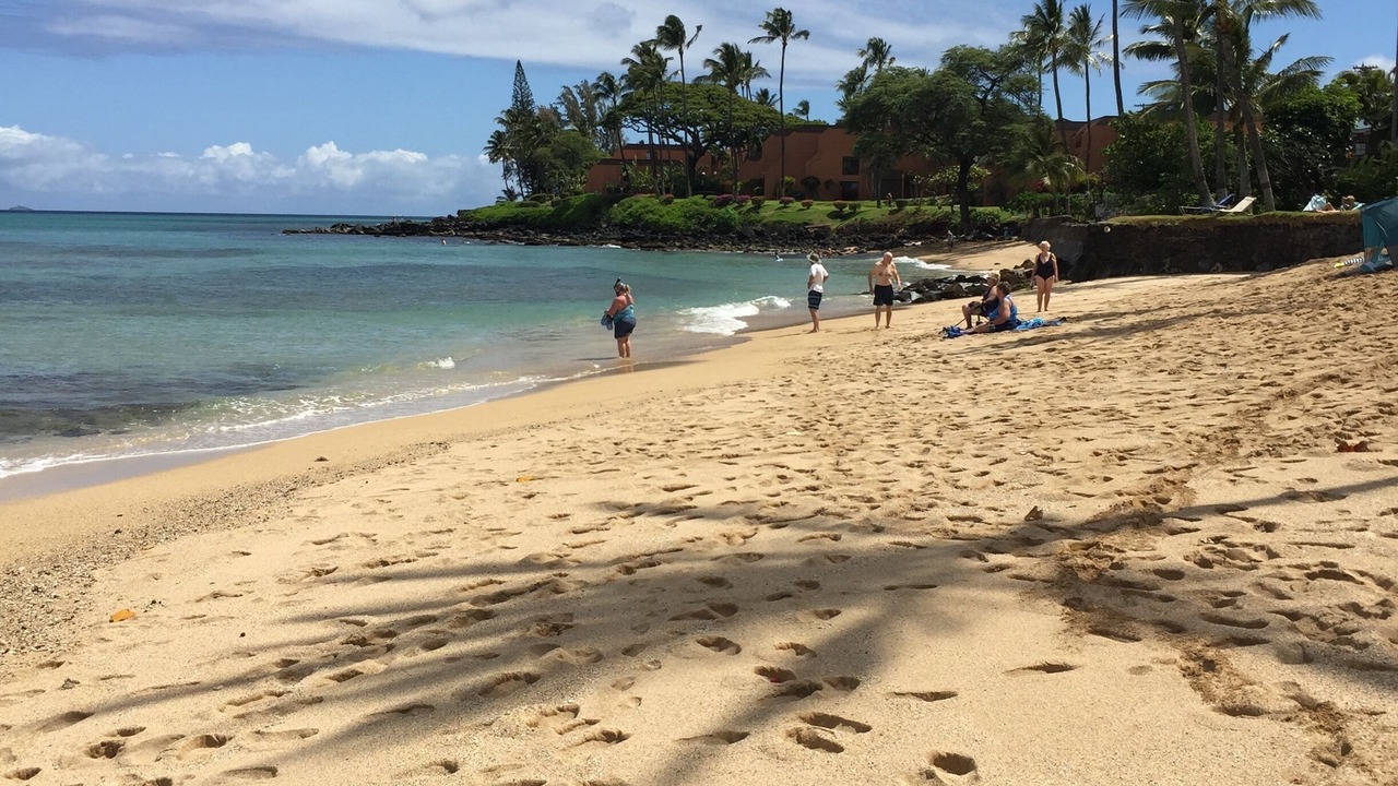 Photo of Others in Honokowai