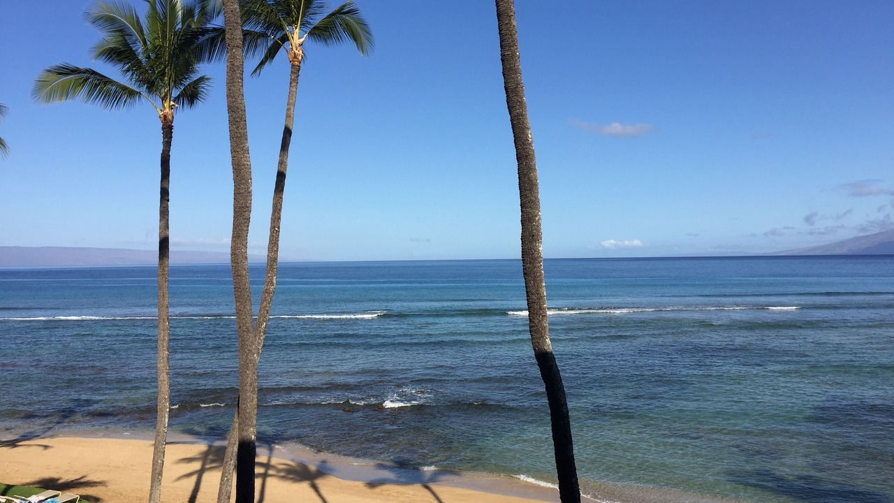 Photo of Others in Honokowai