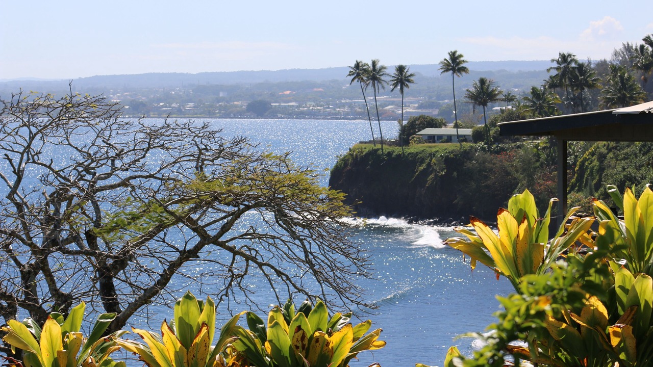 Photo of Outdoor in Kapoho