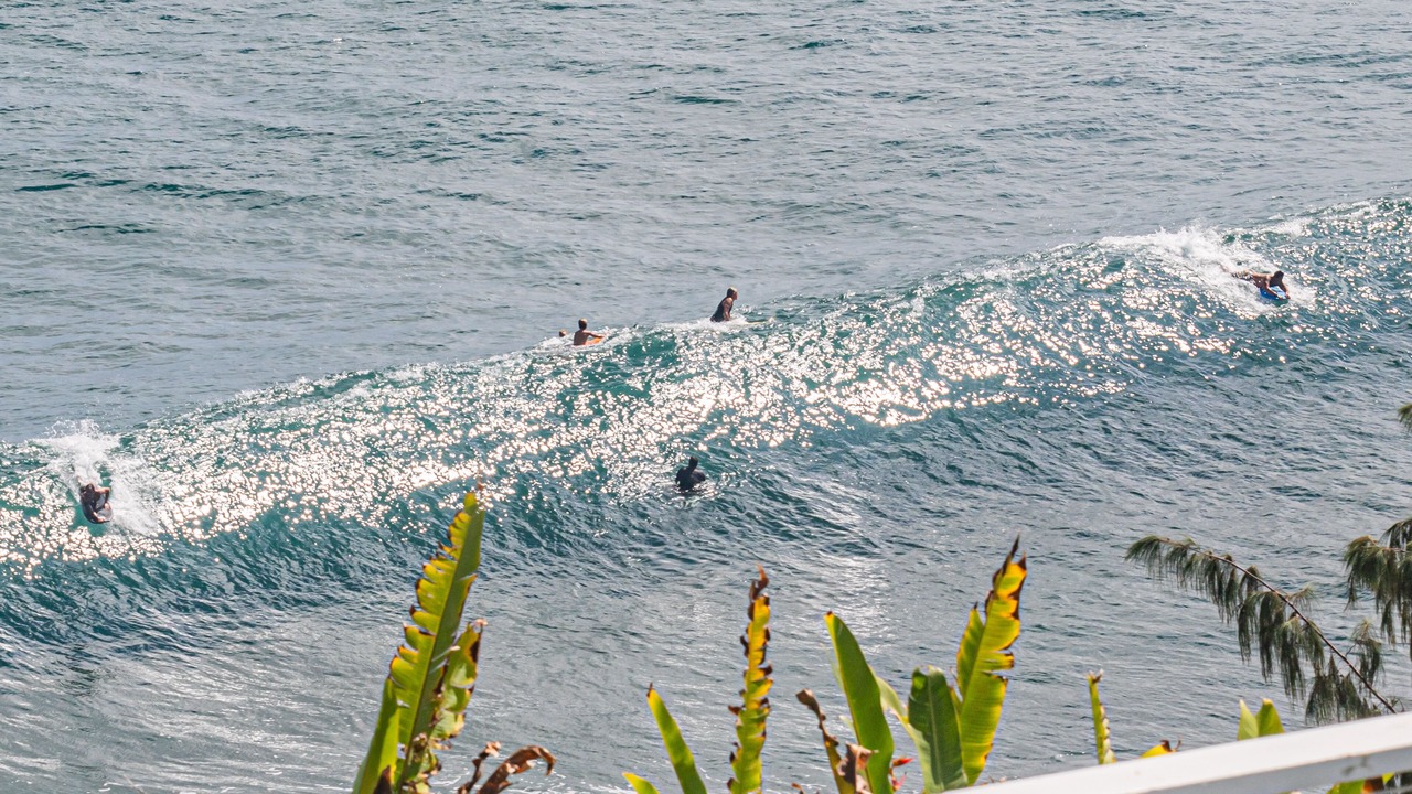 Photo of Others in Kapoho