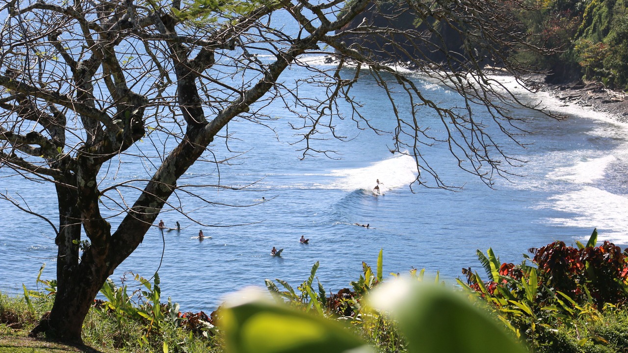 Photo of Others in Kapoho