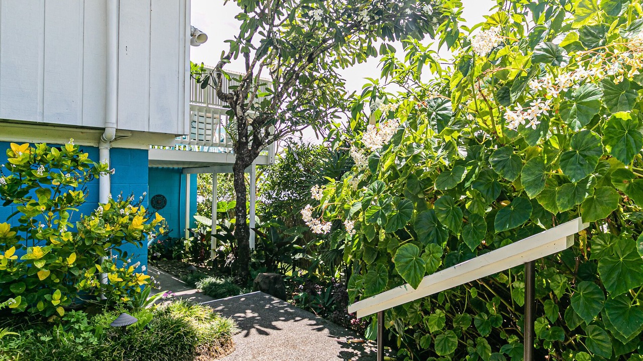 Photo of Others in Kapoho