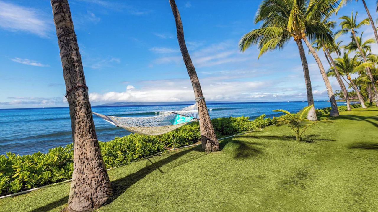 Photo of Outdoor in Downtown Lahaina