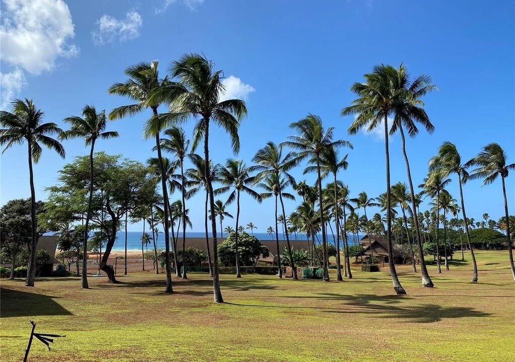 Photo of Outdoor in Maunaloa