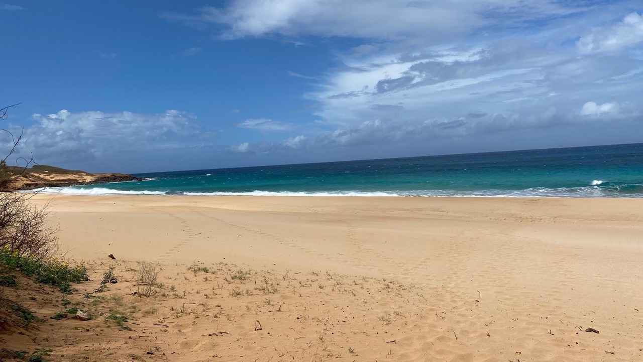 Photo of Others in Maunaloa