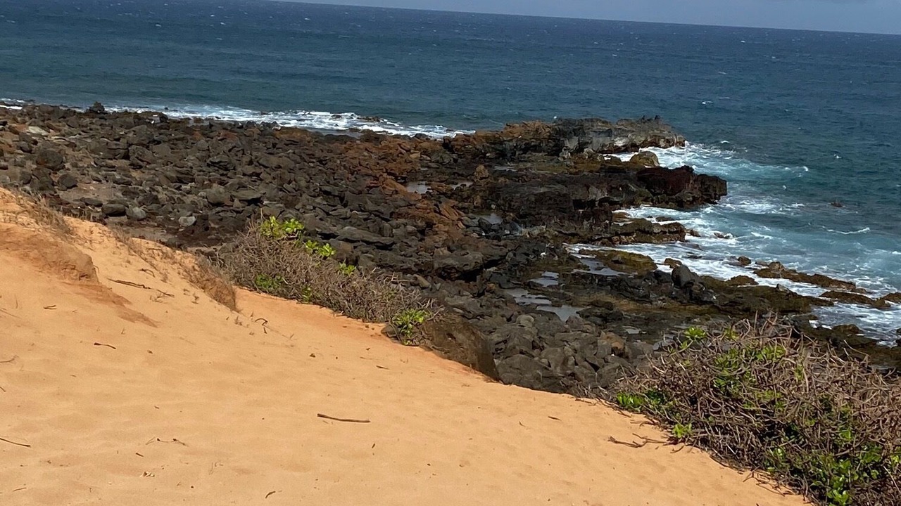 Photo of Others in Maunaloa