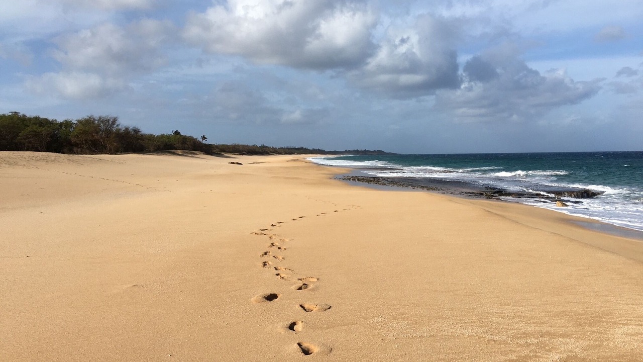 Photo of Others in Maunaloa