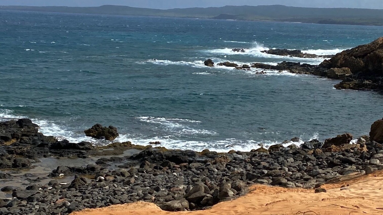 Photo of Others in Maunaloa