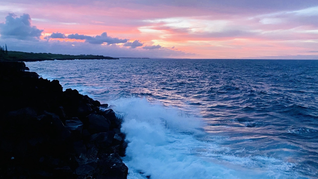 Photo of Others in Kapoho