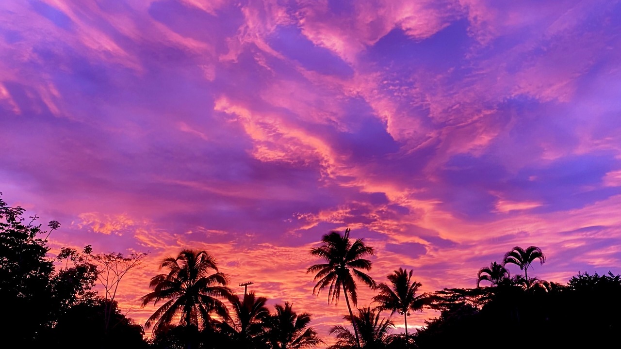 Photo of Others in Kapoho