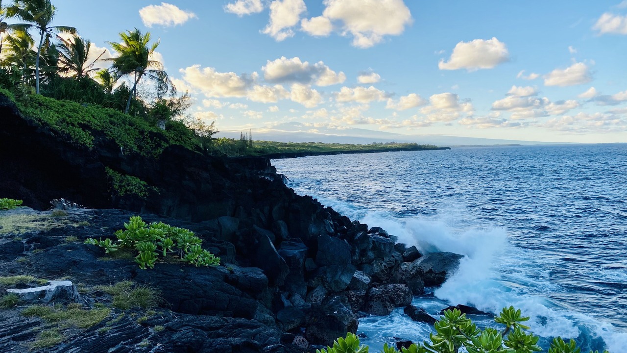 Photo of Others in Kapoho