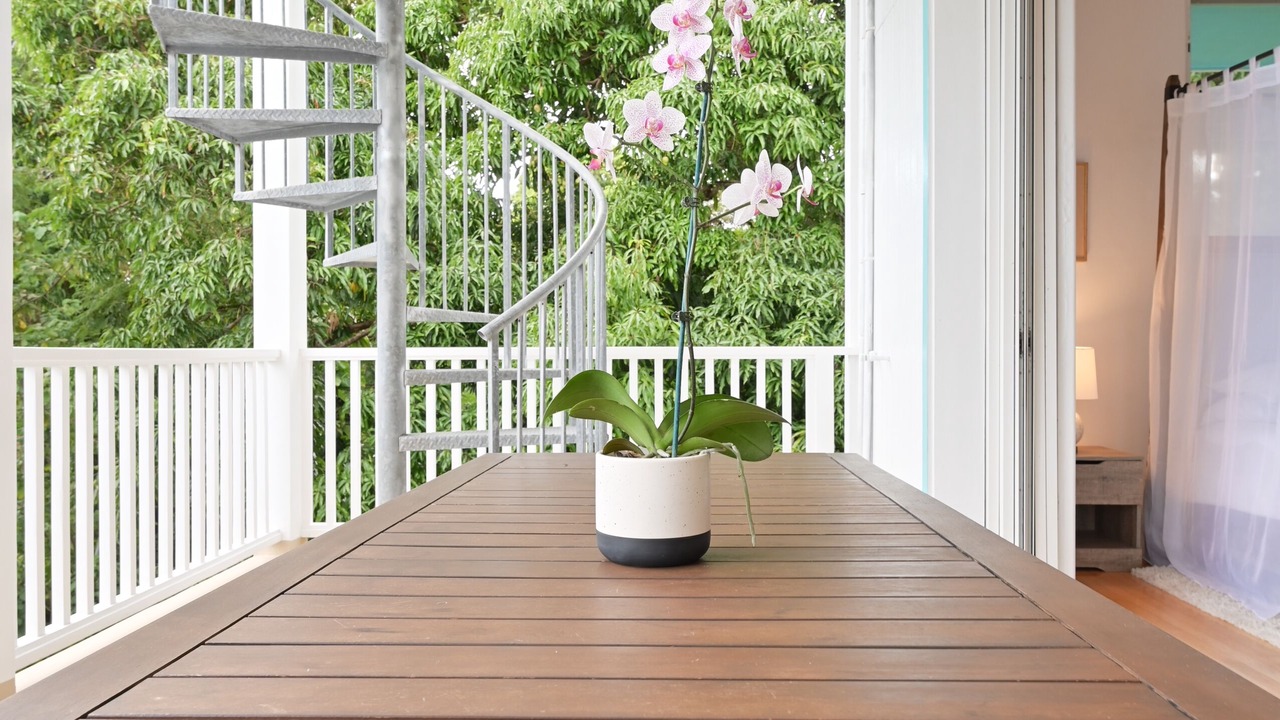 Photo of Outdoor in Kapoho