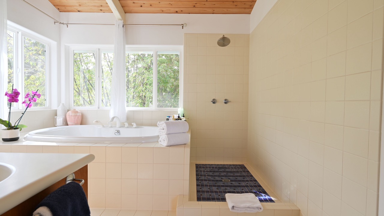 Photo of Bathroom in Kapoho