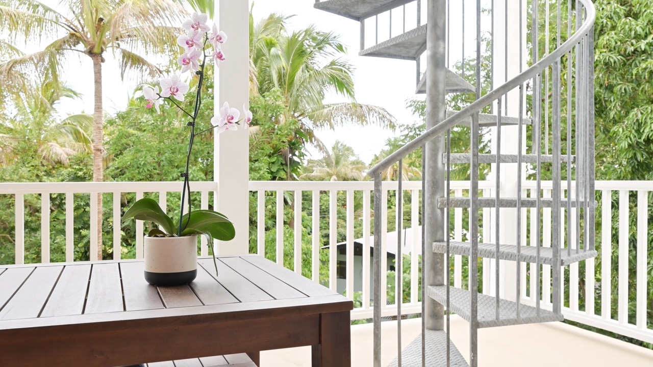 Photo of Outdoor in Kapoho