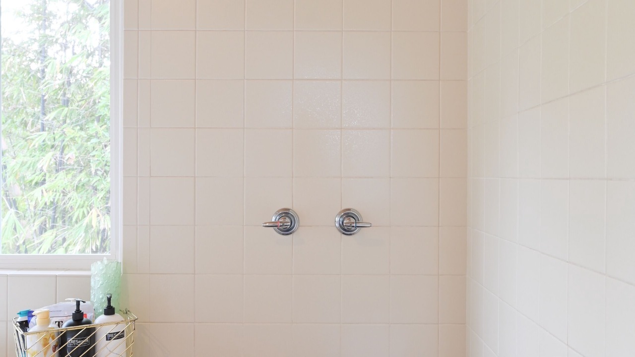 Photo of Bathroom in Kapoho