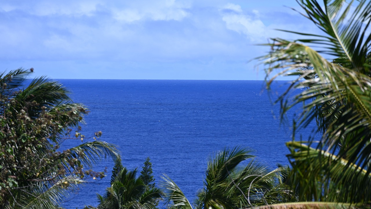 Photo of Others in Kapoho