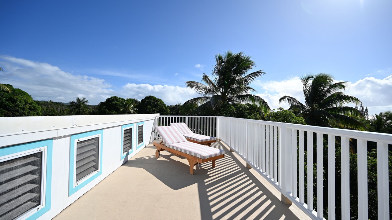 Photo of Outdoor in Kapoho