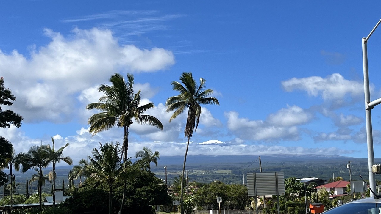 Photo of Others in Hilo