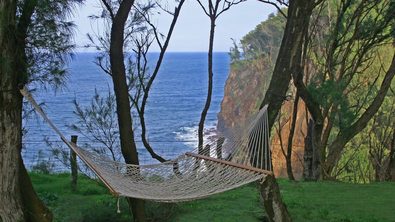 Photo of Others in Kapaau