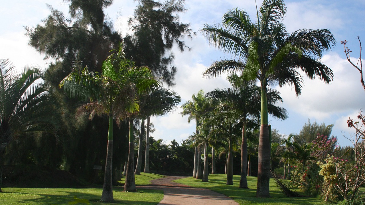Photo of Others in Kapaau