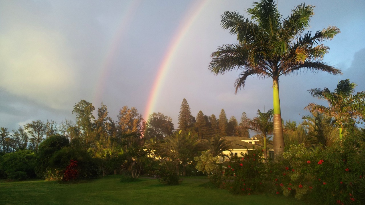 Photo of Others in Kapaau