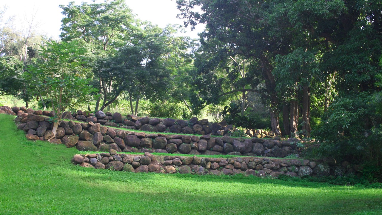 Photo of Others in Kapaau