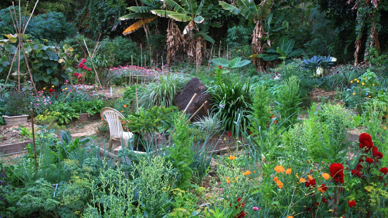 Photo of Outdoor in Kapaau