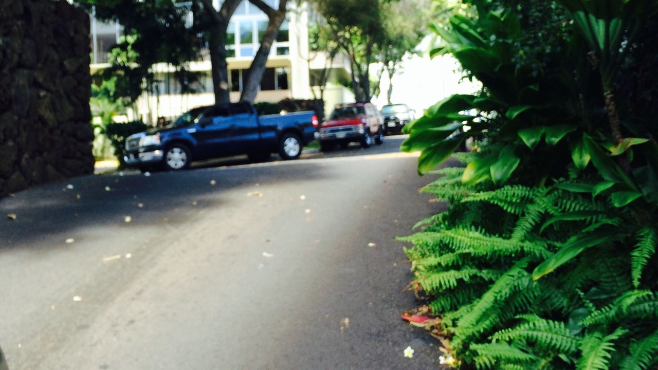 Photo of Outdoor in Diamond Head - Kapahulu - St. Louis