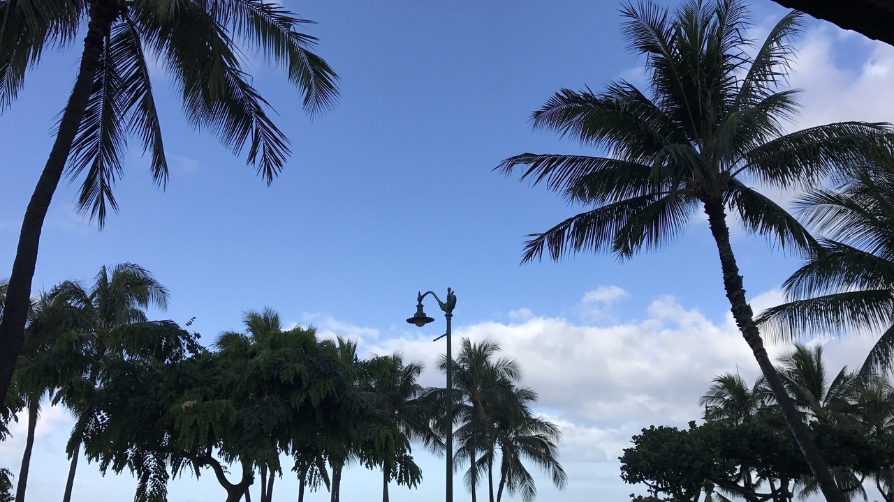 Photo of Others in Diamond Head - Kapahulu - St. Louis