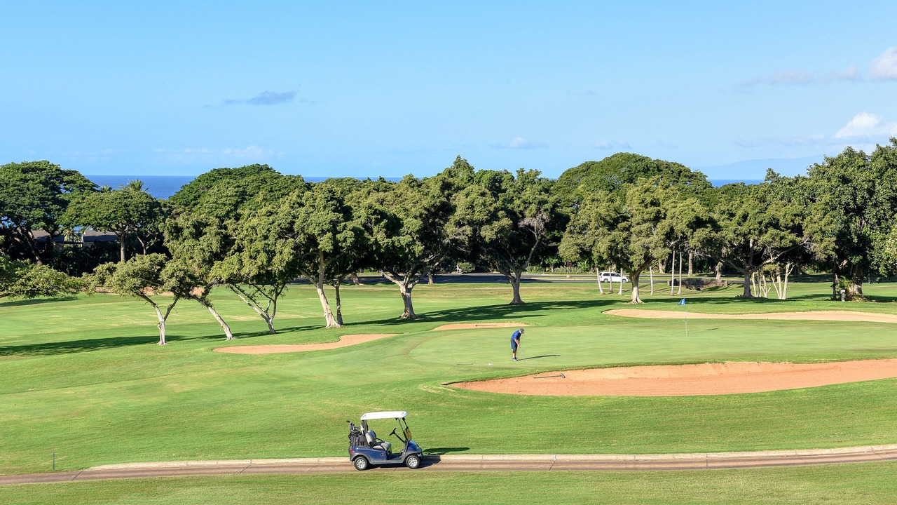 Photo of Others in Wailea